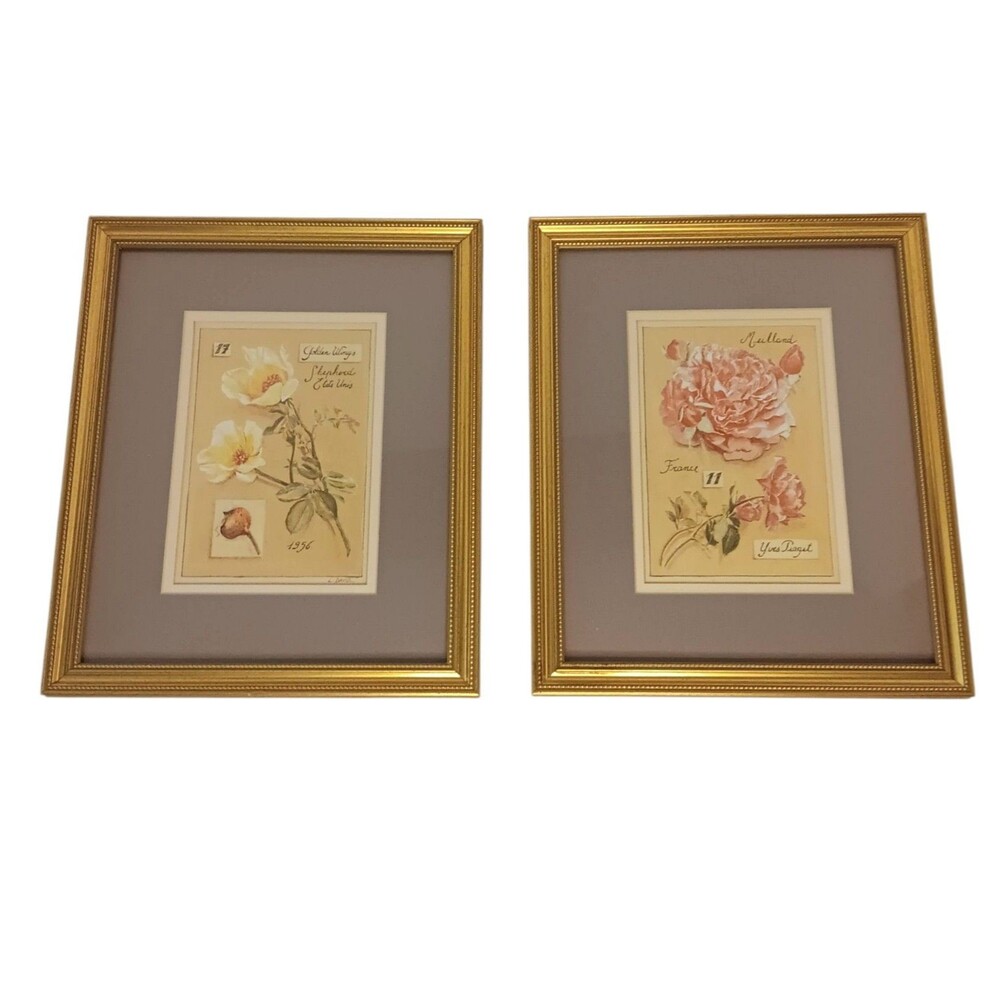 Set Of Two Rose Botanical Prints Yellow & Pink Gold Frames Glass Front 10" x 12"